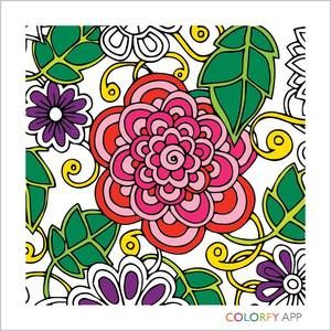 Meet your Posher, Alice